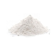 Leite de Coco em Pó Premium (Granel 100g) - imagem 1