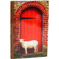 leitura-confortavel-a-naa-novo-testamento-clara-gigante-e-letra-a