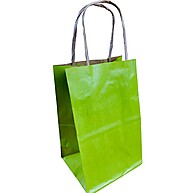 Sacola PP Kraft Verde Limão 9,5x7,5x14,5 – Ideal para Lembrancinhas - imagem 2