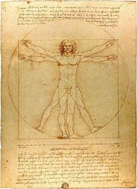 O Homem Vitruviano de Leonardo da Vinci - Tela Canvas 30x41cm - Obra de Arte para Decoração Elegante - imagem 1