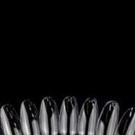 Leque para Esmaltes 50 Cores – Perfeito para Manicures e Criativas - imagem 1