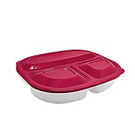 Conservadora de Alimentos: Organize e Leve! - imagem 2