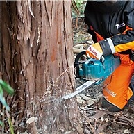Motosserra Sem Fio Makita 40V: Potência e Leveza! - imagem 2