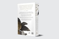 lewis-c-a-essencial-crista-obras-s-da-classicas-literatura-colecao-a