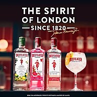 limao-750ml-beefeater-refrescancia-citrica-gengibre-botanics