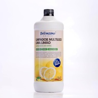 Limpador Multiuso BZ Lima Limão 1L - Potente e Versátil para Limpeza do Lar - imagem 1