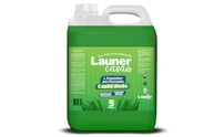 Launer Casa Limpador Perfumado Capim Limão 5L - Secagem Rápida e Fragrância Duradoura - imagem 2