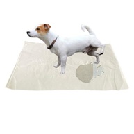 Jornal Pet Pipi Dog 250 Folhas Grandes Limpas Sem Impressão - imagem 2