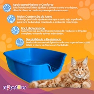 limpeza-e-conforto-big-gato-areia-de-caixa