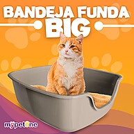 Caixa de Areia Gatos: Conforto e Limpeza! - imagem 2
