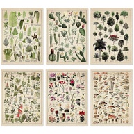 Conjunto de 6 Pôsteres Decorativos Botânicos em Linho - Estampas Vintage de Natureza para Decoração de Parede - imagem 1