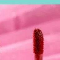 Lip Fix Tint Ruby Kisses: Cor e Fixação à Prova d'Água! - imagem 1