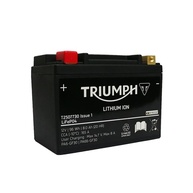 Bateria SkyRich Lítio HJTZ14-S-FPZ 550A para Triumph Tiger 1200 | Potência e Durabilidade - imagem 1