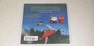 Room on the Broom: A Magia da Amizade em um Livro Infantil Encantador - imagem 5