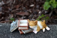 Top Collection Enchanted Story Garden - Gatinho Cochilando em Livros | Decoração Encantadora para Casa e Jardim - imagem 4