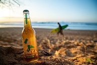 Praya Lager, Cerveja Long Neck 355ml, pack de 6 unidades - imagem 4