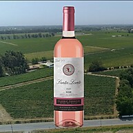 loreto-refrescante-santa-elegancia-rose-750ml-chileno-vinho