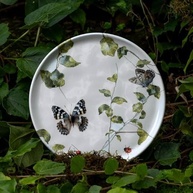 Conjunto com 6 Pratos de Sobremesa Bio Sereno - Porto Brasil | Seguro para Microondas e Lava-Louças - imagem 3