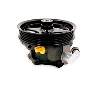 Bomba Direção Hidráulica com Polia para Ford Expedition, F-150 e Lincoln Mark LT (2003-2008) - imagem 1