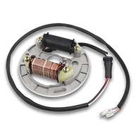 Estator FLYPIG para Suzuki LT80 Quadsport e Kawasaki KFX 80: Potência e Durabilidade Garantidas - imagem 2