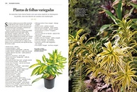 lugar-certo-para-kit-para-essencial-planta-o-super-jardins-livros-certa-incriveis-guia-a-3-a