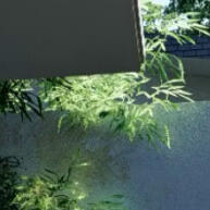 Luminária Solar Xtronic: 8 Horas de Luz para Seu Jardim - imagem 1