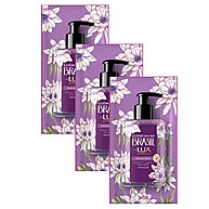 Lux Dama da Noite: Kit 3 Refis Sabonete 240ml - imagem 1