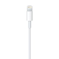 Cabo Apple Lightning para USB (1 m) - imagem 3