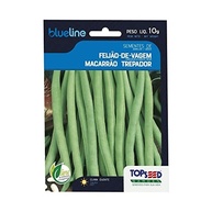 Semente Feijão de Vagem Macarrão Trepador Topseed 10g - imagem 2