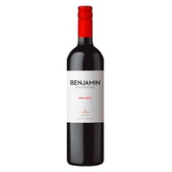 malbec-benjamin-nieto-o-vinho-argentino-perfeito