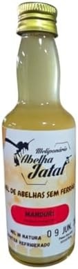 Mel de Abelha Manduri 60ml (80g) – Mel Puro e Natural – Artesanal, Sem Conservantes – Produzido por Abelhas Nativas Sem Ferrão – Meliponário Abelha Jataí - imagem 1