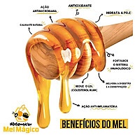 Mel Orgânico Eucalipto: Sabor e Saúde da Mantiqueira - imagem 1