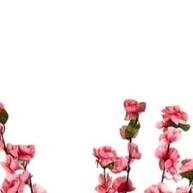Cerejeira Artificial Rosa Bebê com Vaso: Decore Sem Manutenção - imagem 2