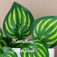 manutencao-sem-elegancia-g-branco-vaso-com-decorativa-planta