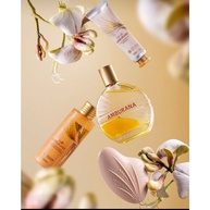 Amburana: Hidratação e Perfume para Suas Mãos - imagem 2