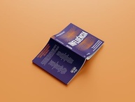 marcas-conectam-a-negocios-essencial-transformam-vozes-influencia-de-verdade-livro-que-que-e-a