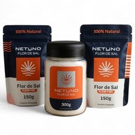 Flor de Sal Netuno Kit Completo com Refil Gourmet Natural Artesanal Marinho Cristais Saudavel - imagem 1