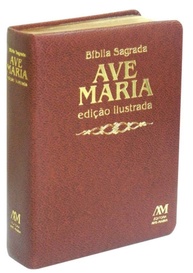 marrom-com-classicas-pinturas-media-especial-edicao-luxo-a-biblia-ilustrada-a