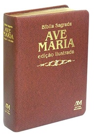 marrom-pinturas-classicas-luxo-ilustrada-a-edicao-especial-biblia-media-com-a