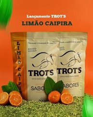 Erva Mate para Terere Trots Sabor Limão Caipira 500G - imagem 2