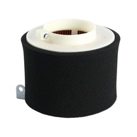 Filtro de Ar Premium para Kawasaki Mule 500-610 e Motores KAF300/KAF400/KAF620 - Proteção Máxima - imagem 1