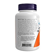Taurina 1000mg Dupla Força Now Foods: Energia e Foco Máximo - imagem 2