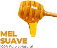 Bisnaga de Mel Suave Gold Medal Honey | 4x Medalhista de Ouro na Apimondia | Linha Special Reserve Suave | Qualidade Premium e 100% Natural | Ideal para Adoçar Bebidas e Usar em Receitas (550g) - imagem 3