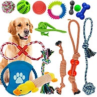 Kit 10 Brinquedos Mordedores para Cães Pequenos e Médios - imagem 1