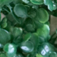 Coleira de Strass Brilhante para Pets Pequenos e Médios - imagem 2