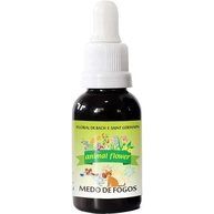 Medo de Fogos em Pets: Acalme com Floral de Bach - imagem 1