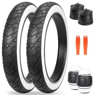 meghna-e-fat-terreno-bike-bike-e-aventura-mais-a-pneu-em-snowbike-qualquer-20x40-a