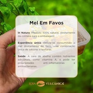 Favo de mel Natural - Florada Silvestre Sul de Minas Bandeja 500g - imagem 2