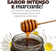 Bisnaga de Mel Escuro Gold Medal Honey - 5x Medalhista de Ouro na Apimondia | Linha Special Reserve Intenso | 100% Natural, Puro e Sem Aditivos | Ideal para Adoçar Bebidas e Usar em Receitas - imagem 4