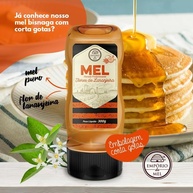 Mel Laranjeira 300g Bisnaga - Empório do Mel - imagem 3